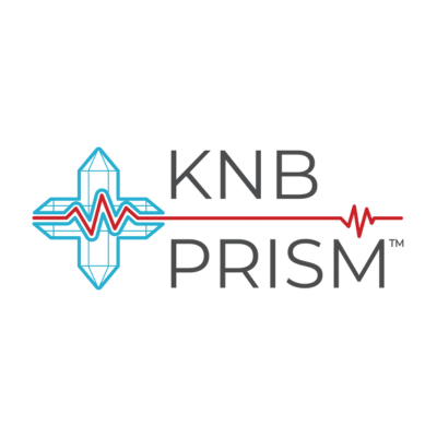 Sōvyn PRISM logo (2)