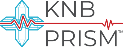 Sōvyn PRISM logo 2025