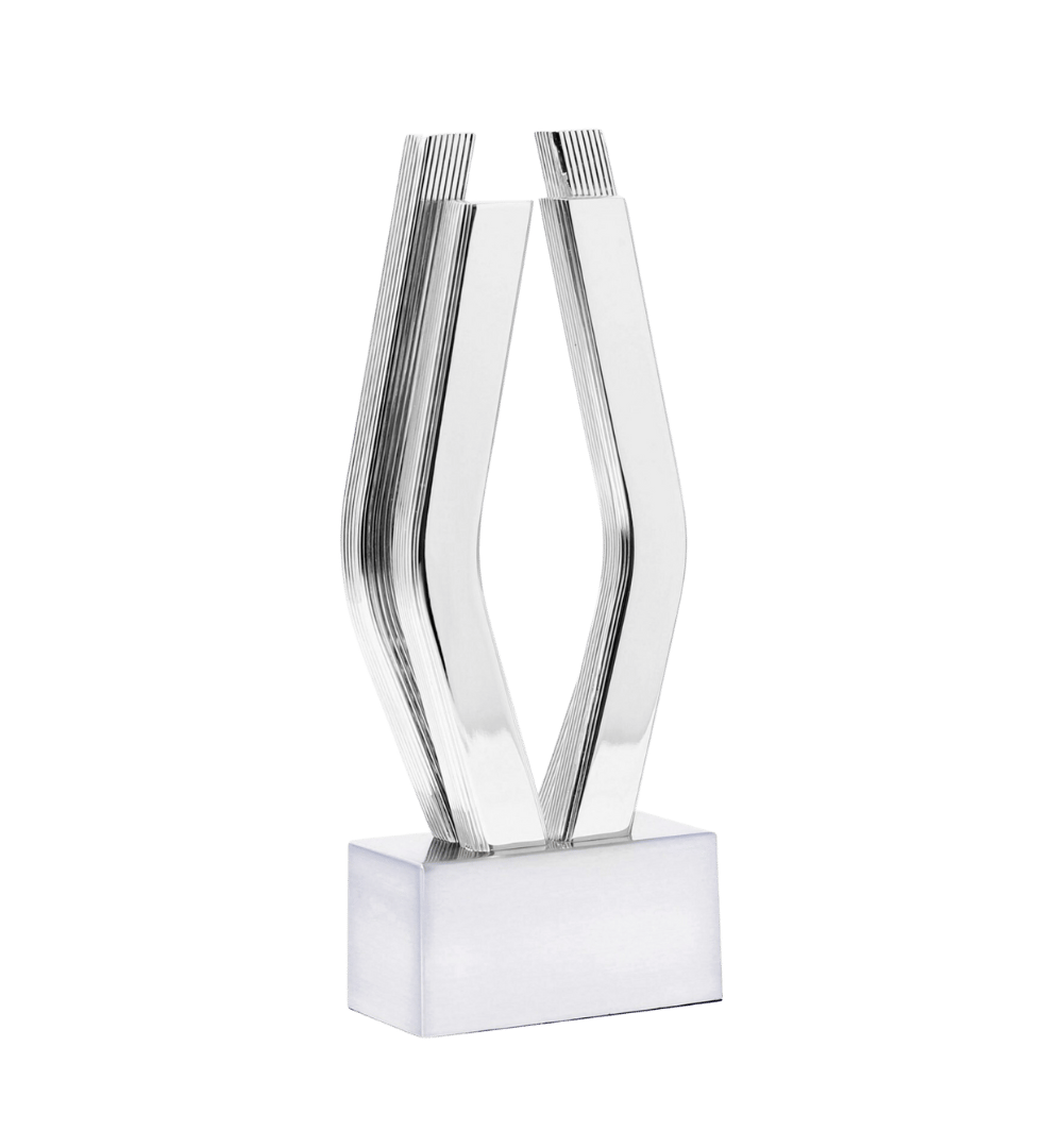 Viddy Awards trophy-1