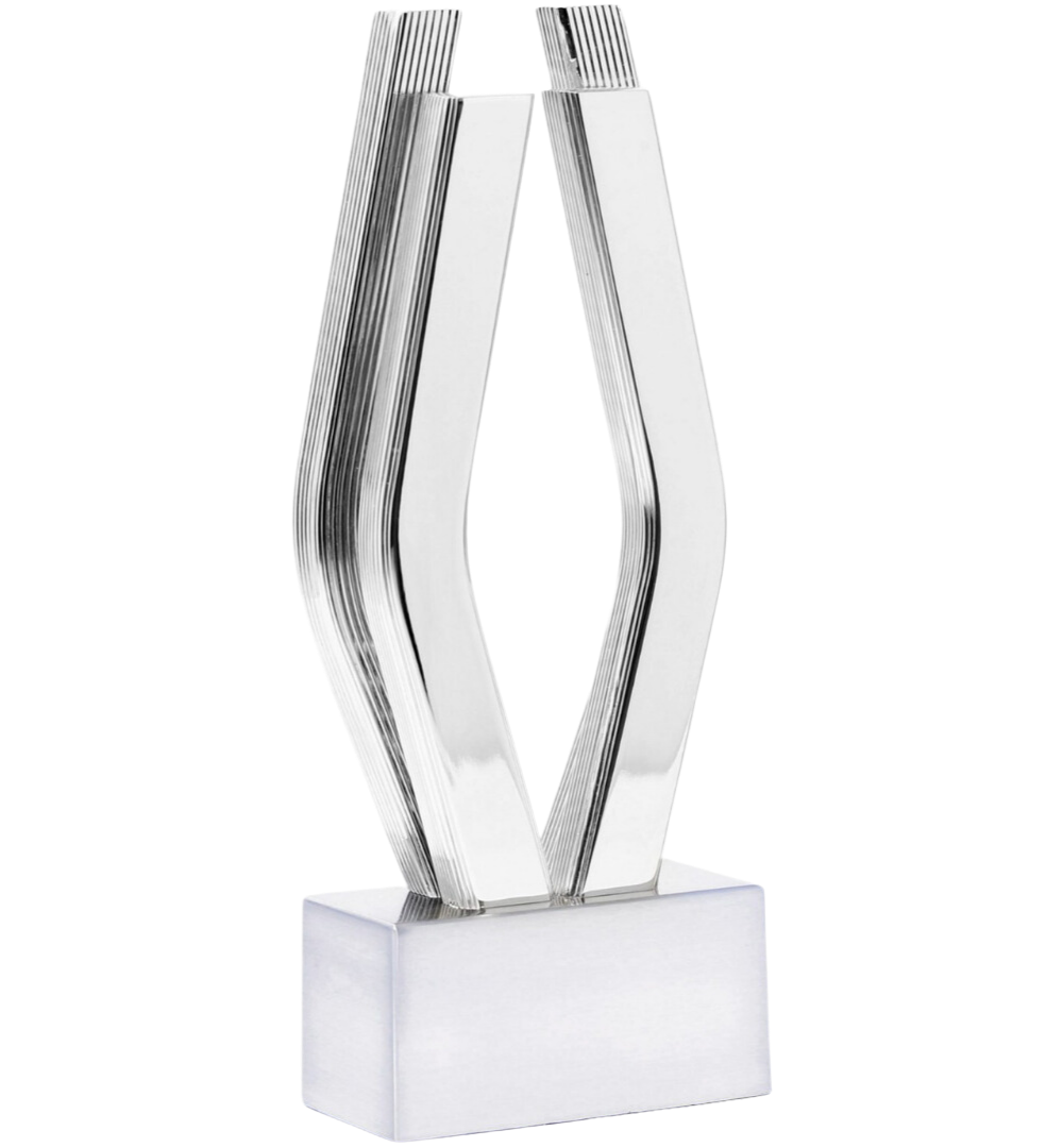 Viddy Awards trophy-3