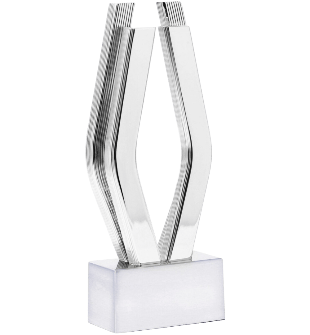 Viddy Awards trophy