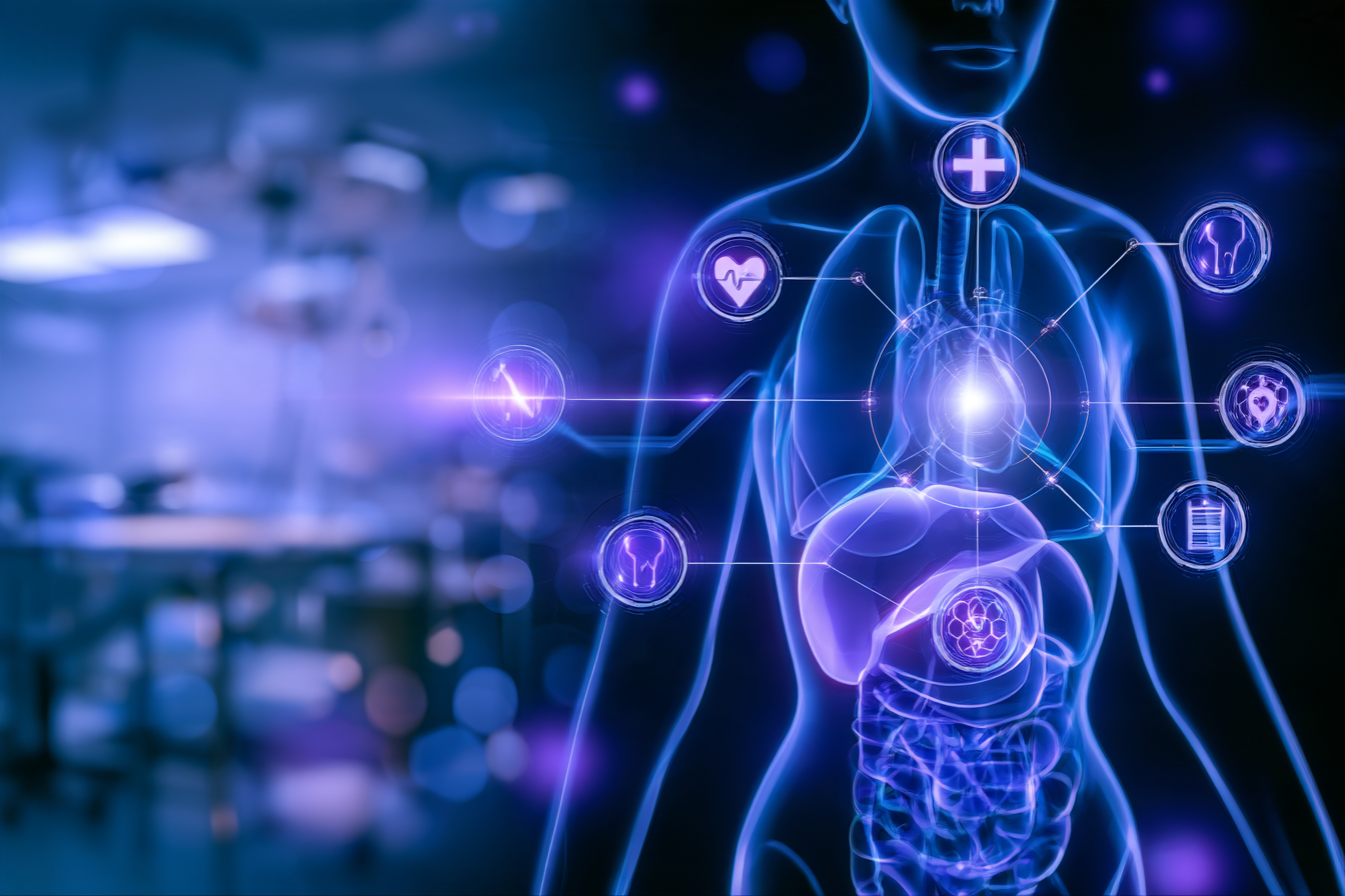 knbcomm_Futuristic_medical_visualization_of_a_translucent_hum_e74b9841-c0d6-492d-9b06-cd0c83af74f4_2