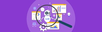  LLM Optimization 