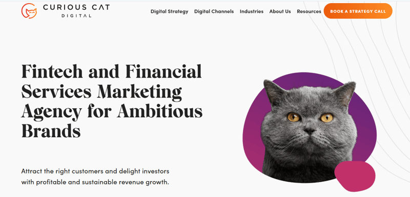 Curious Cat Digital