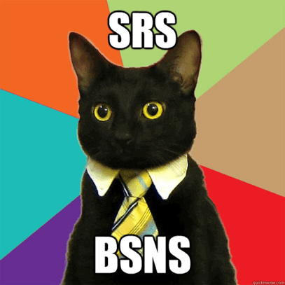 Software Strategies