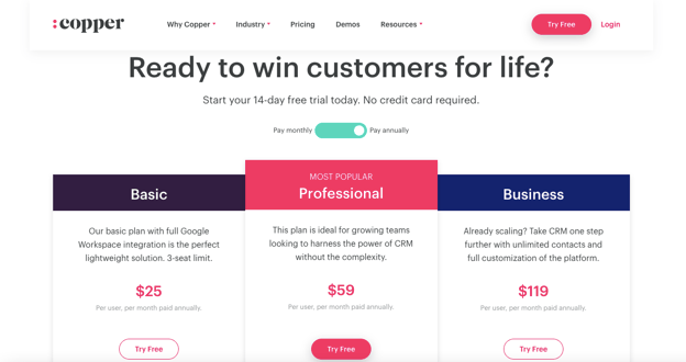 Per user SaaS subscription pricing